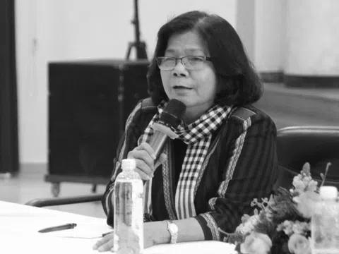 Vũ Kim Hạnh bày tỏ góc nhìn cá nhân về cuộc chiến giữa: Thanh tra và doanh nghiệp